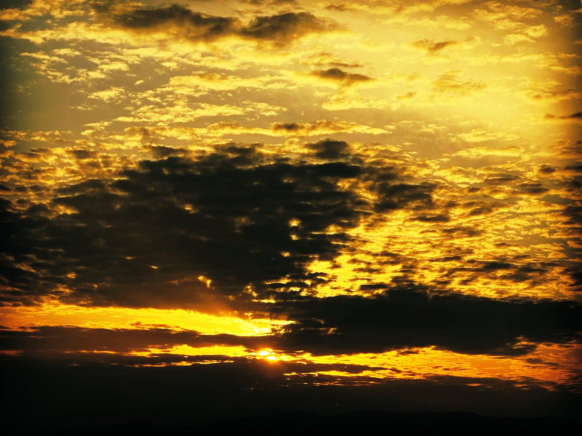 ༺✦🍁𝐆𝐚𝐫𝐫𝐞𝐥🍁✦༻ tweet media