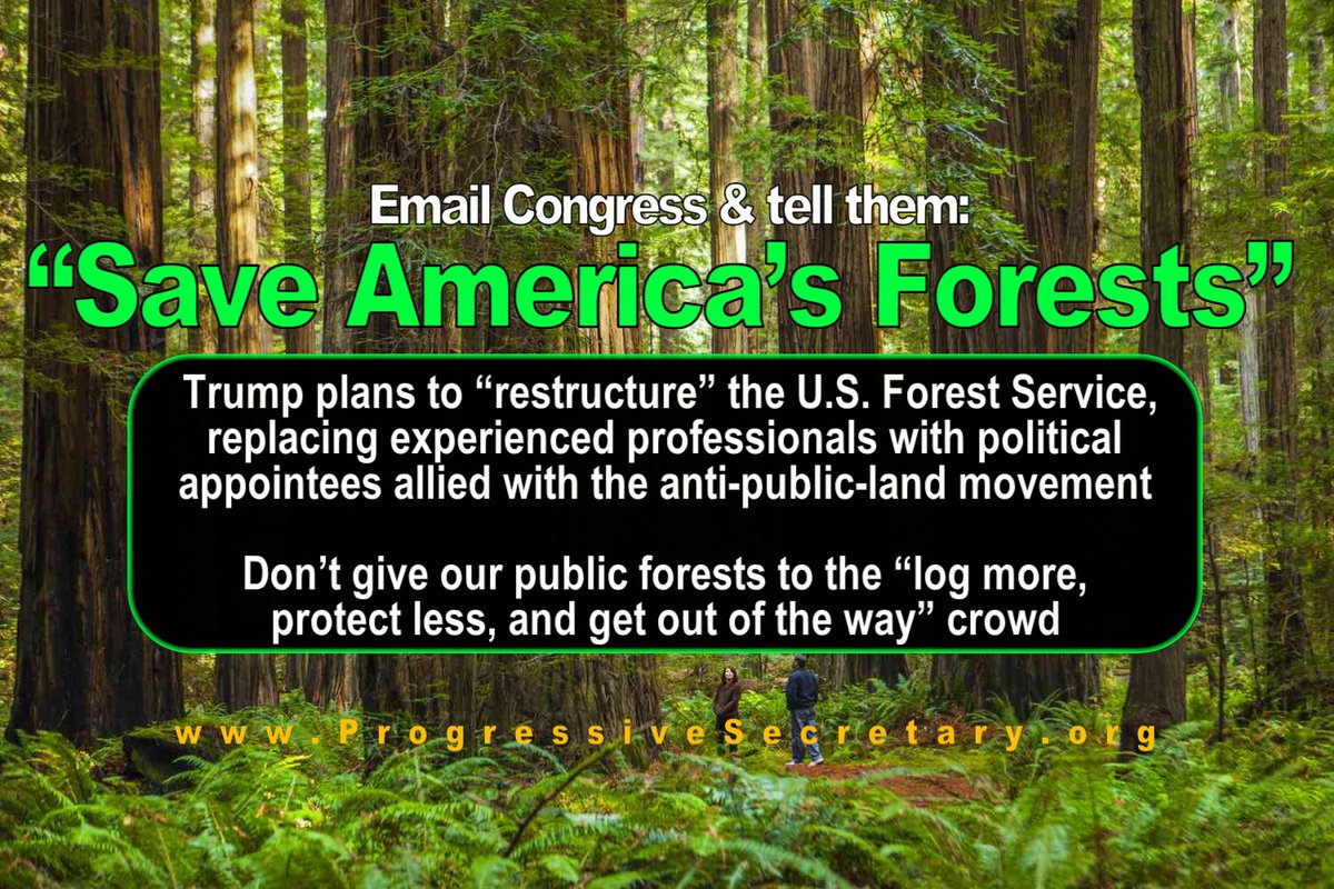 🔸 Progressive Secretary 🔸 tweet media