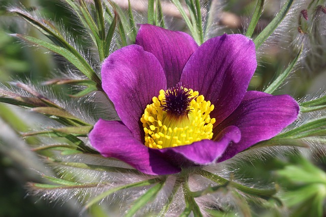 Todd Adams tweet media