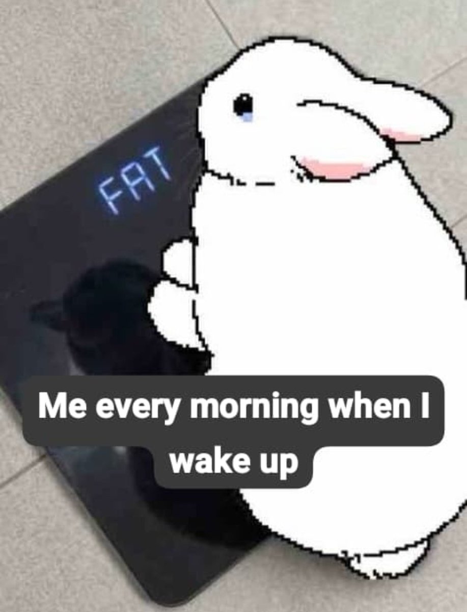 ⤷ swam 🪽་༘࿐ tweet media