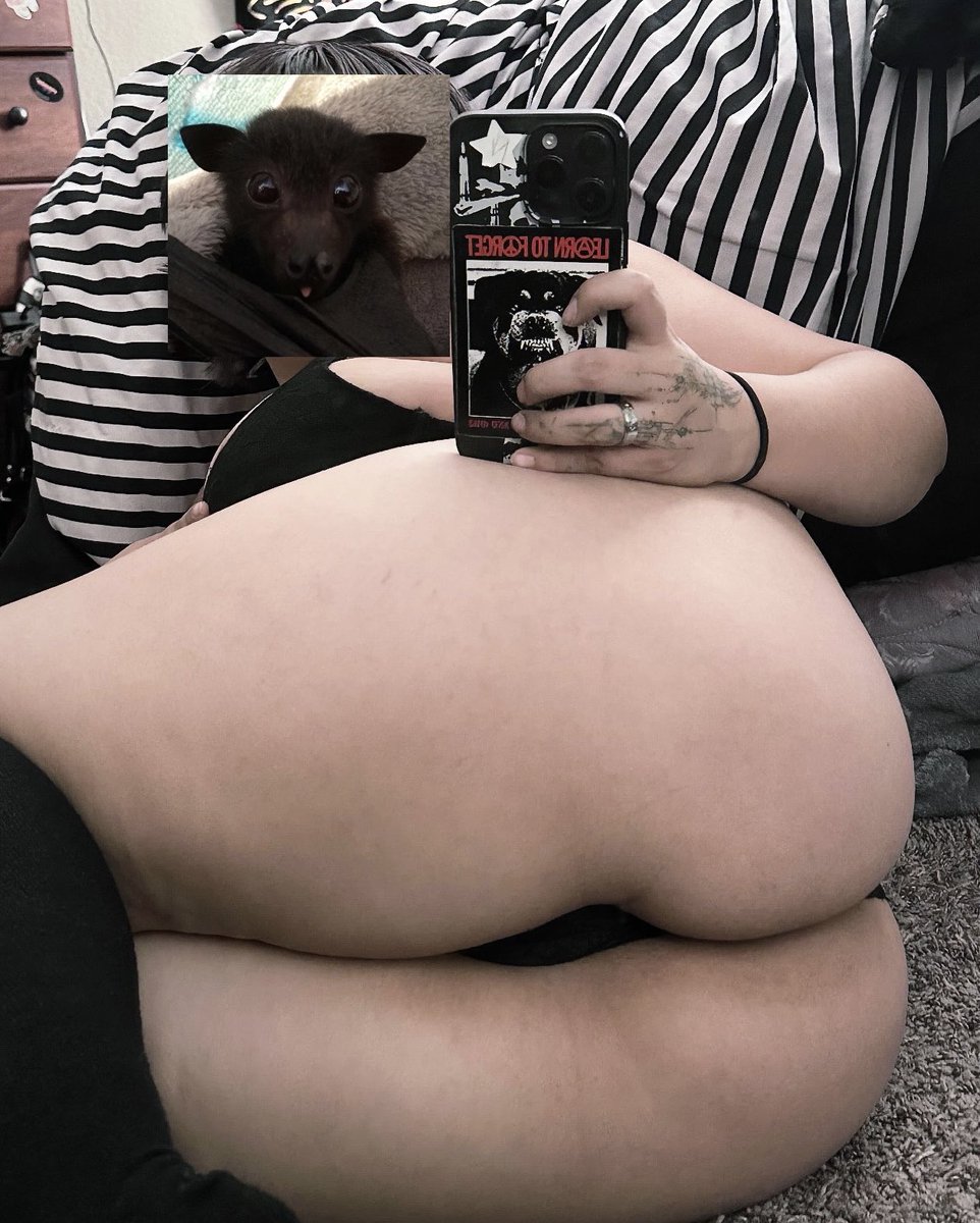 . ⋆ ݁ ˖ violet tweet media