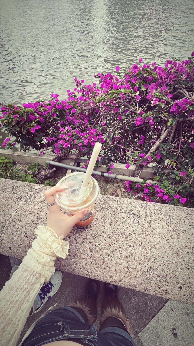Pudding (@Puddingmibuding) / Posts / X