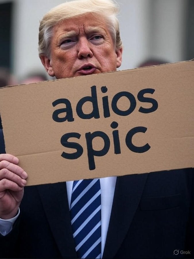 KDRabbit tweet media