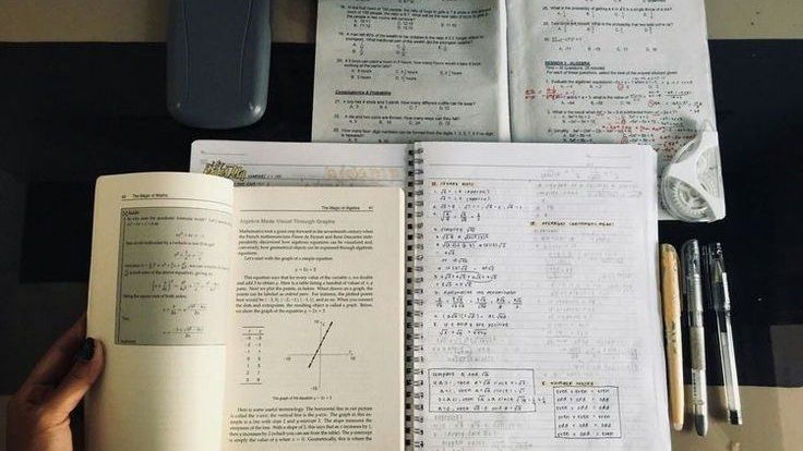 madeleine✶ tweet media