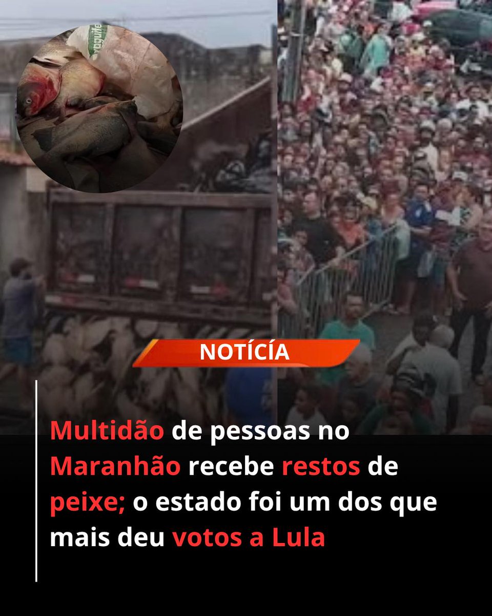 PATÃO 'DAZ' VERDADE 🇧🇷🔥🗽 tweet media