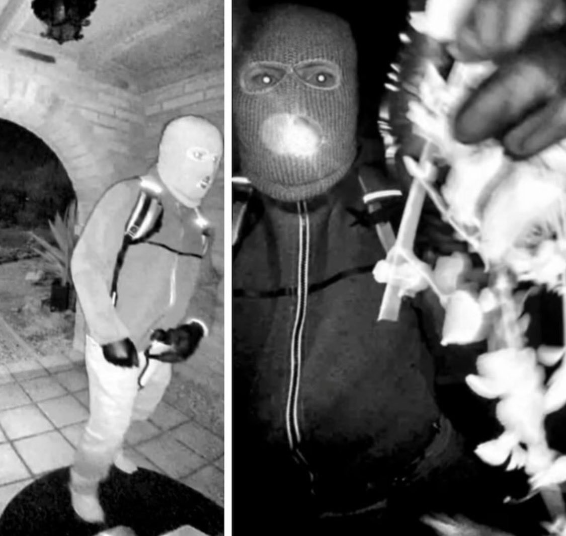 Nancy Guthrie 411 tweet media