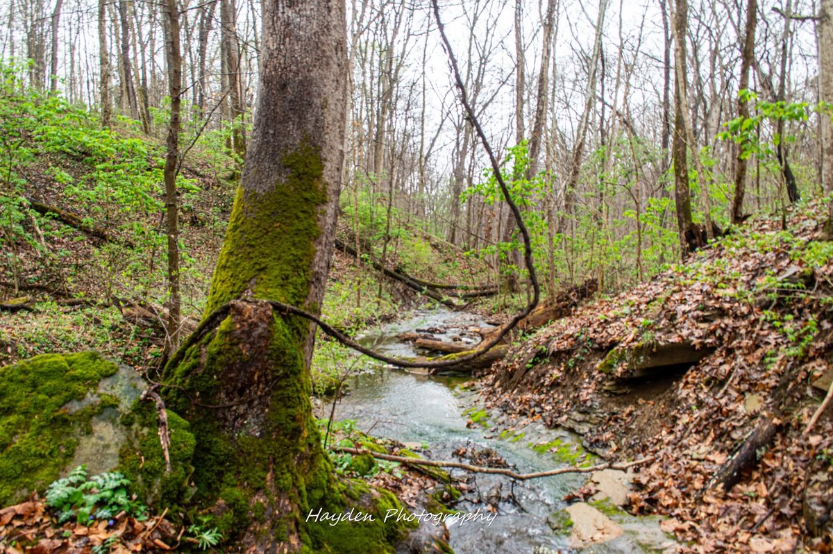 Hayden Photography tweet media