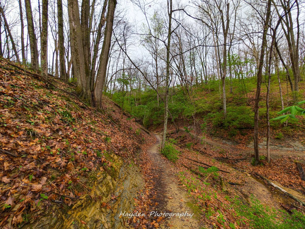 Hayden Photography tweet media