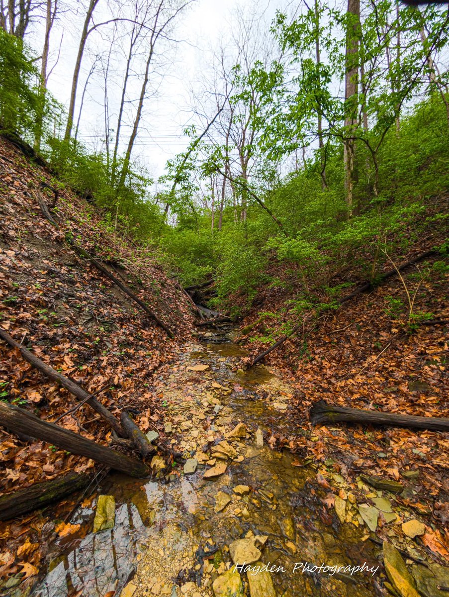 Hayden Photography tweet media