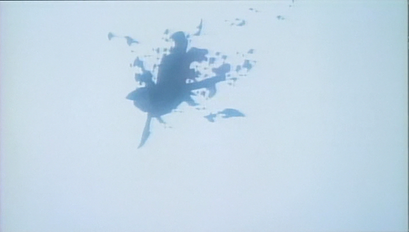 wskrshny's tweet image. thought Twilight of the Cockroaches was gonna be a silly bug movie, instead all I got was depression ;_;