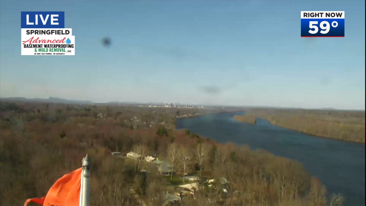 Dan Brown tweet media