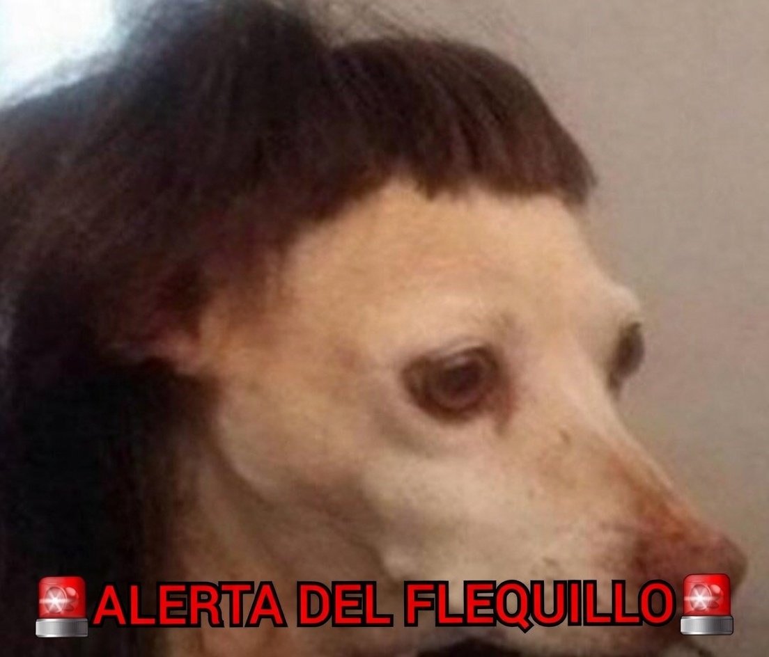 Violeta Valdivia Vera 🇨🇱🇺🇲🪖 tweet media