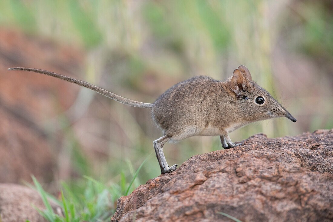 Xelly🌹 tweet media