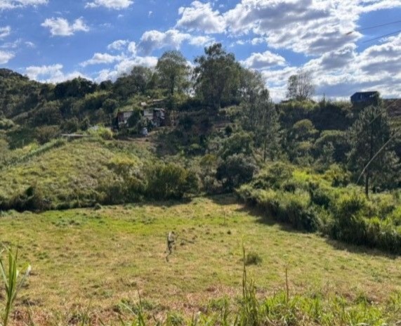 UltimaHoraCR's tweet photo. #ATENCIÓN | Masacre en zona rural de Popayán. Al menos seis personas fueron asesinadas por un grupo armado en la vereda La Meseta. Autoridades convocaron un consejo extraordinario de seguridad en las próximas horas. El hecho se suma al doble homicidio registrado la noche anterior en la capital caucana.

Vía @BrandonLeguiz