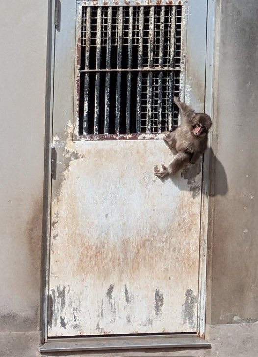 TradeCoin tweet media