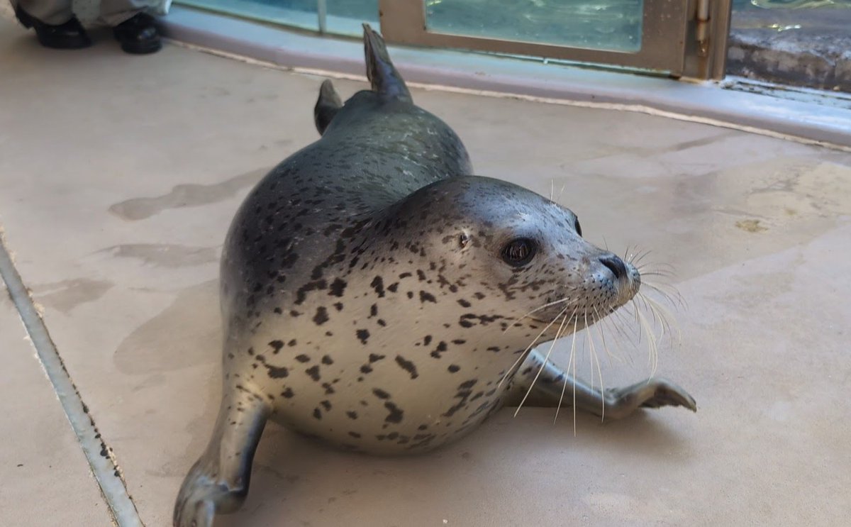 りん🍀 tweet media