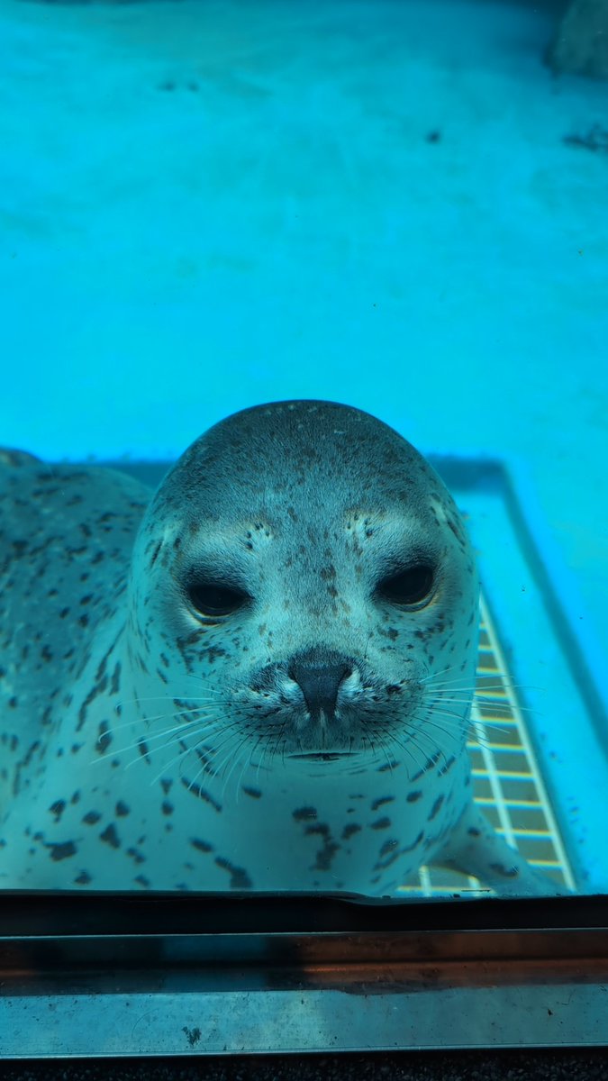 りん🍀 tweet media