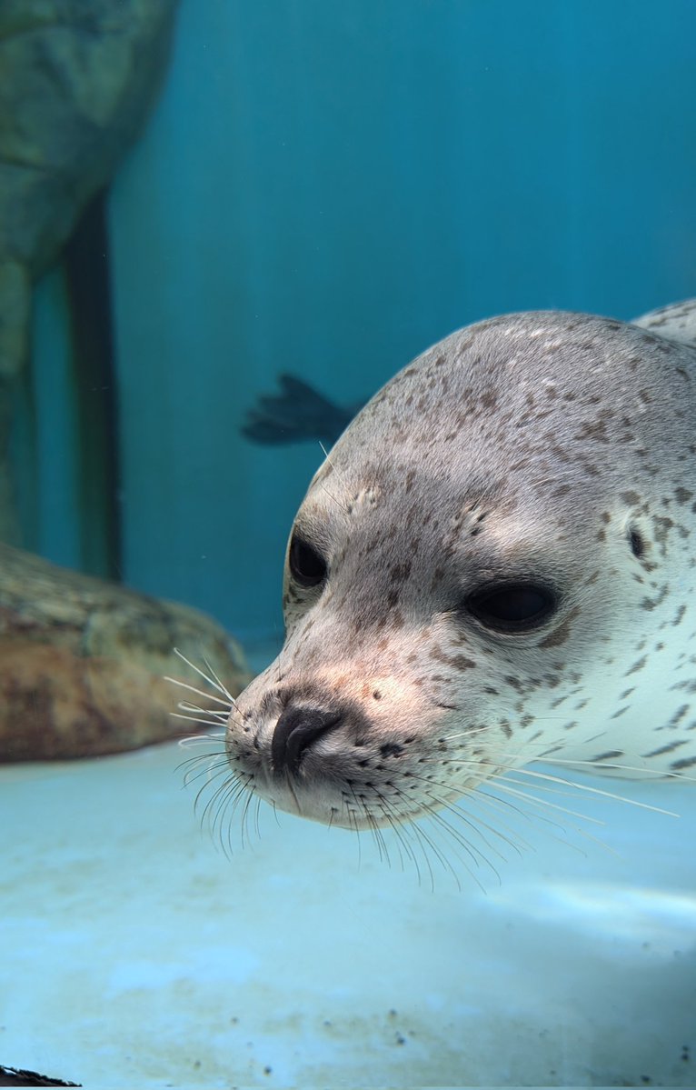 りん🍀 tweet media