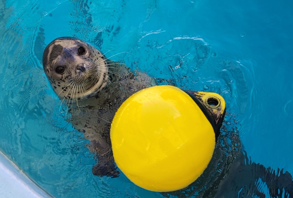 りん🍀 tweet media