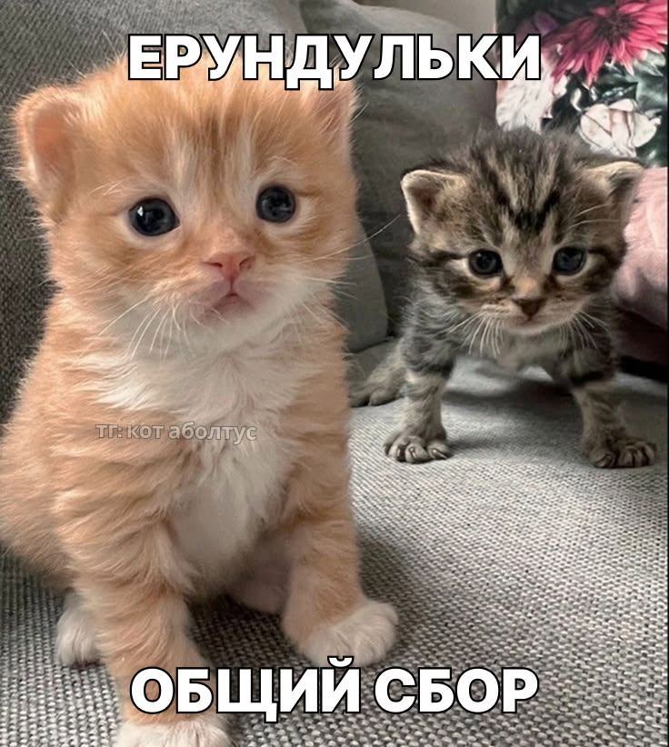 привет бедолагам!👻

> меня зовут ксю, мне 21 и я в попытках вернуться в тви
> примерно 10% скизы и 90% будни студента-учителя-репетитора-хореографа
> люблю смешнявочки, ловлю грустиночки 

го мью??