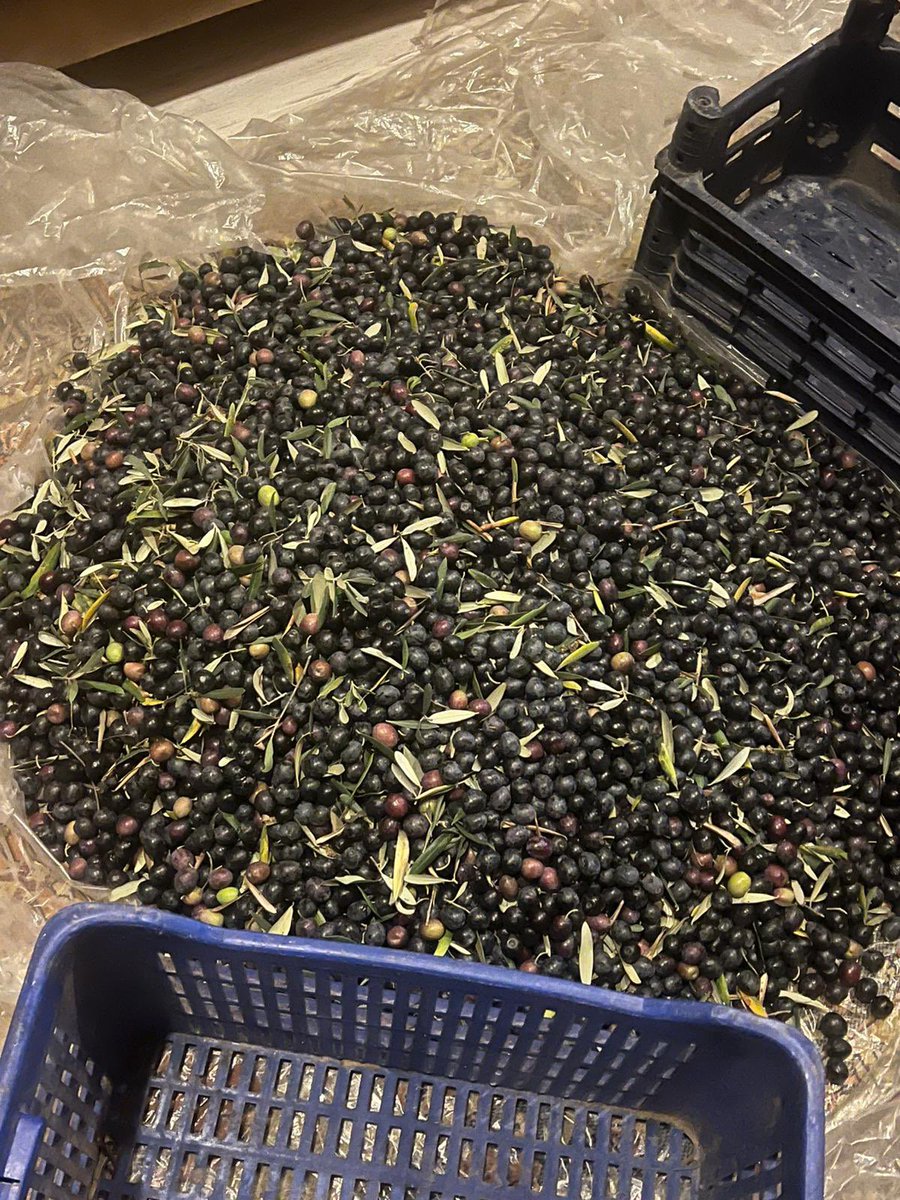 Ertugrul Cüre tweet media