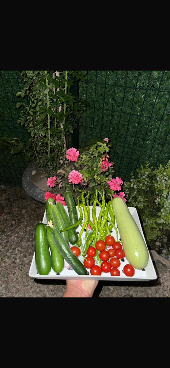 Ertugrul Cüre tweet media