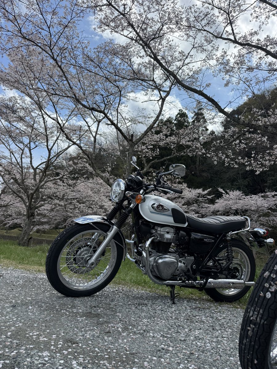 ばつ １個 tweet media