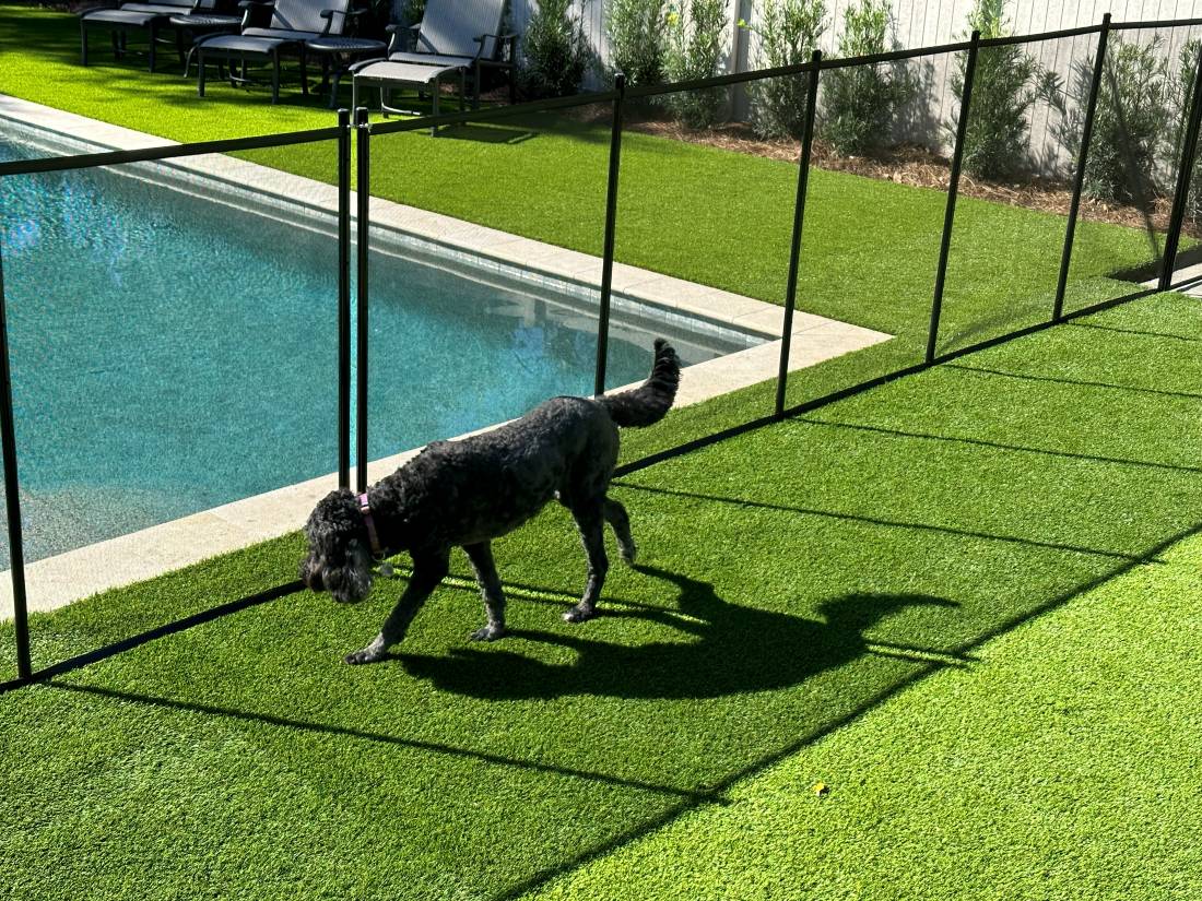 BabyBarrier's tweet photo. The 24-hour pool safety fence is guarding your pool to prevent pool accidents with pets or young children who aren’t ready for the water. #ALifeSaver #TopPoolFenceCompany 
https://t.co/9VZvYHtGbp https://t.co/1RNTsfyTOZ