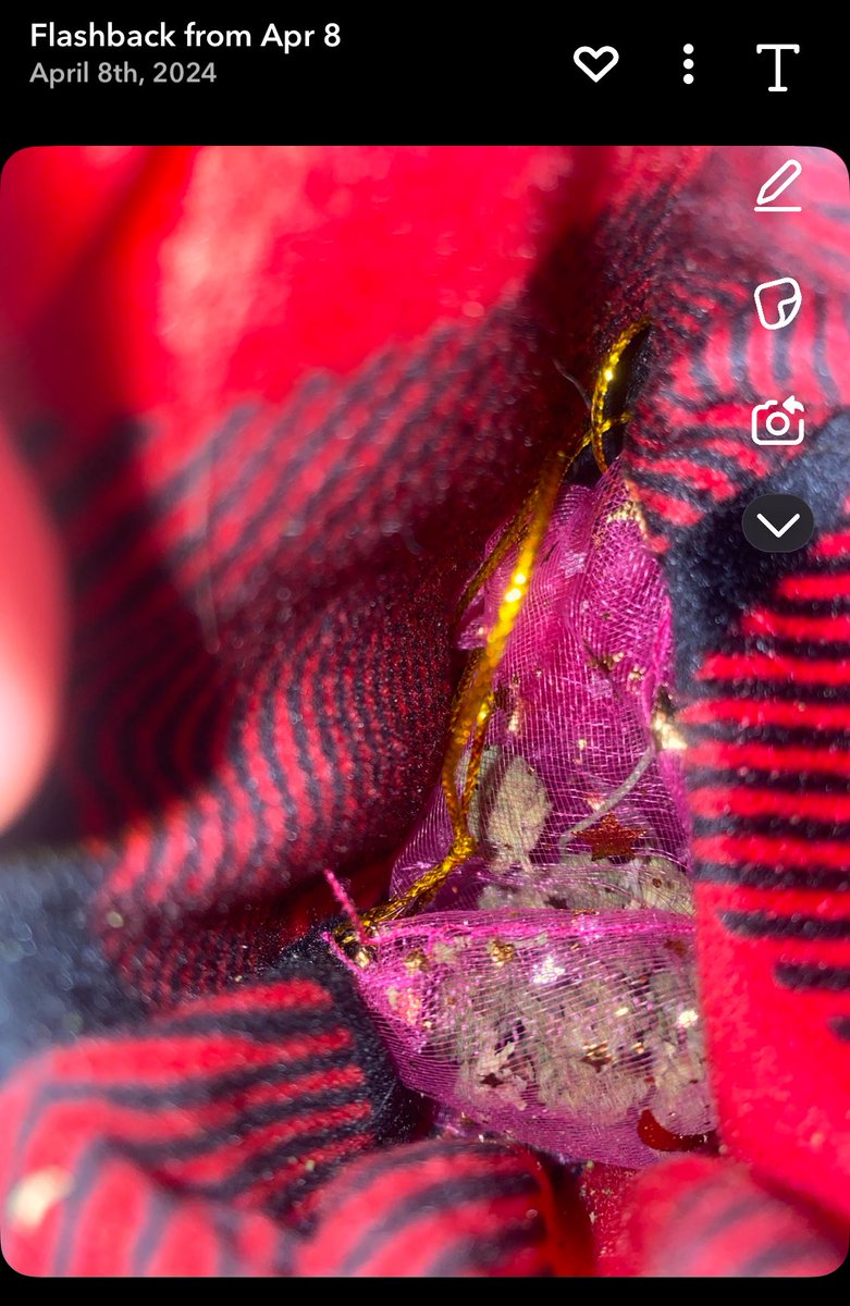 THE Lizzie tweet media