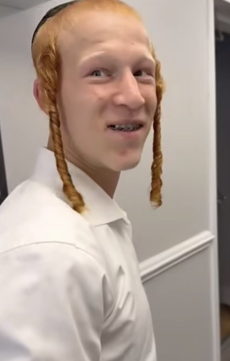 Noah’s Ark 🚢 tweet media