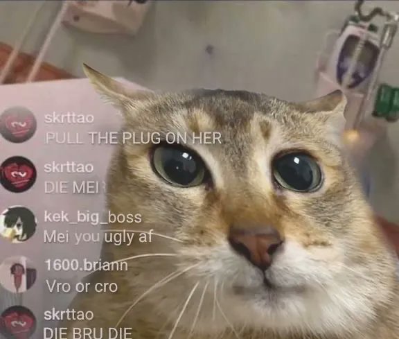 wwwhappyperson tweet media