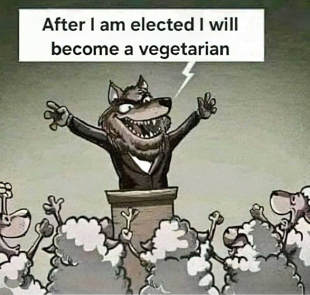 Max Prime tweet media