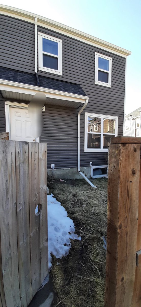 McKenzieKids's tweet image. Walked to London Drugs, Superstore but took the bus home. Snow is almost gone out of my back yard. I wish I could gave a lazy day. 

#busyday #mybackyard #VeronicaorRoni #nervousnessiskickingformyboy #iknowhisnamestartswithR