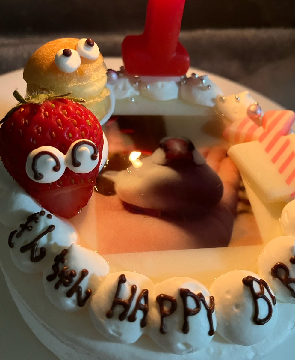 Elle(エル) @文鳥飼い tweet media