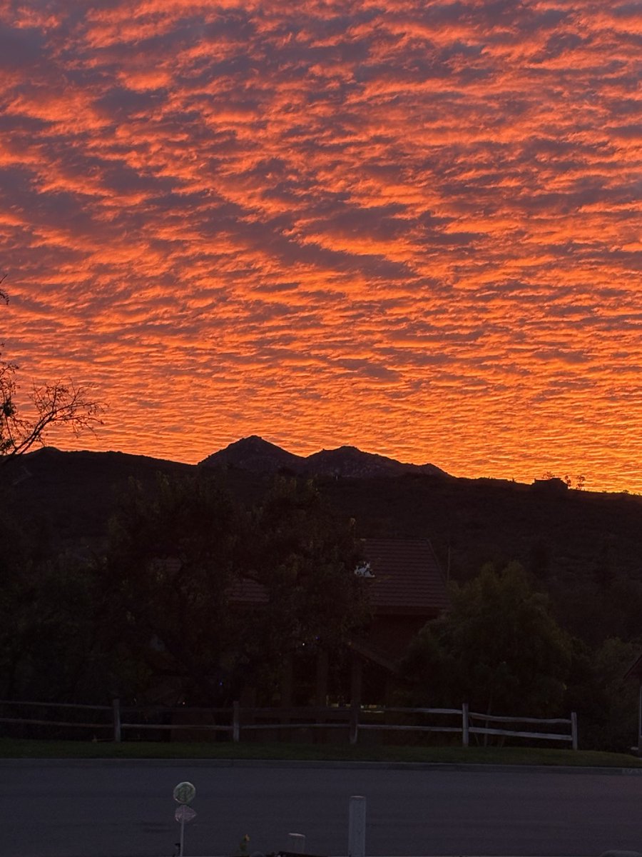 Regular gal Irregular world (Sam) tweet media