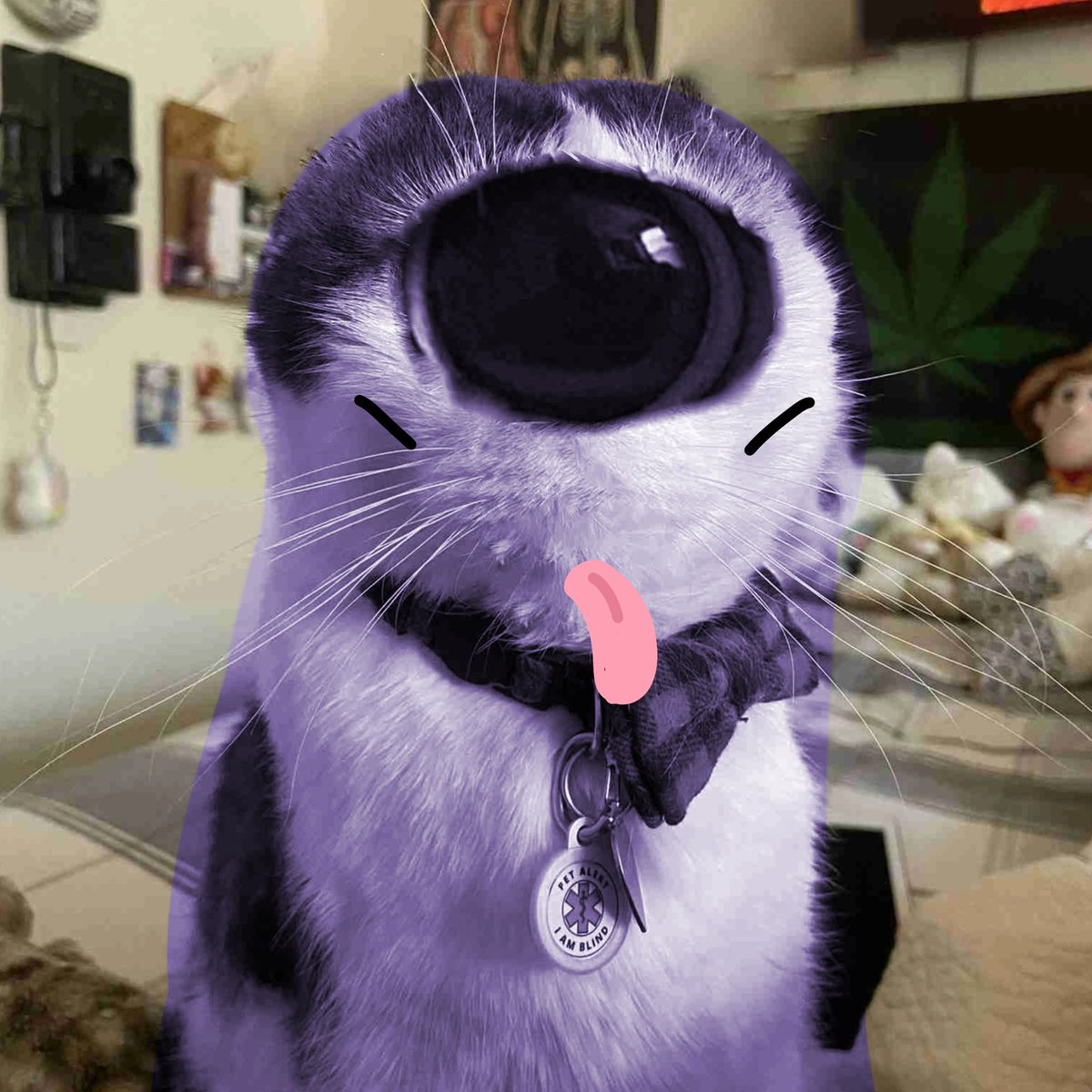 the best cute lovely druid collar tweet media