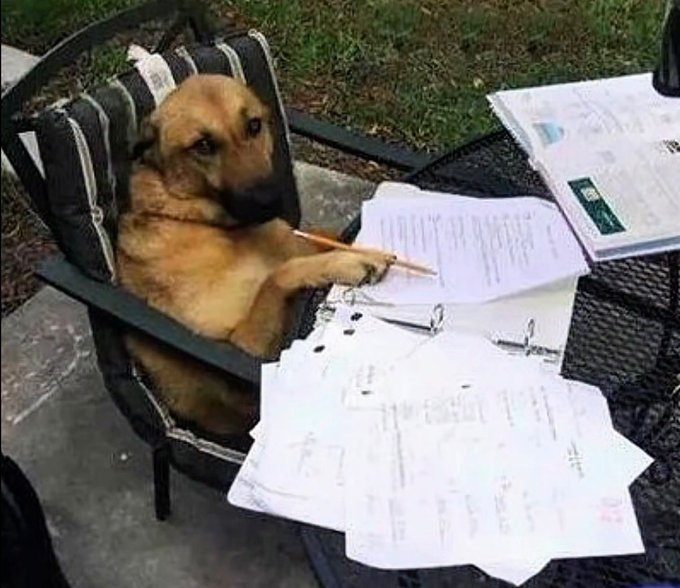 wes @maridowebdivatl tweet media