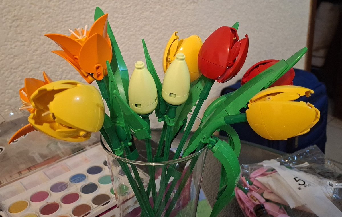 pau 🧇 tweet media