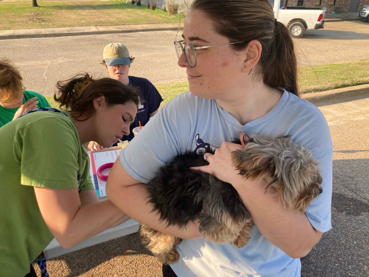 Memphis Humane Society tweet media