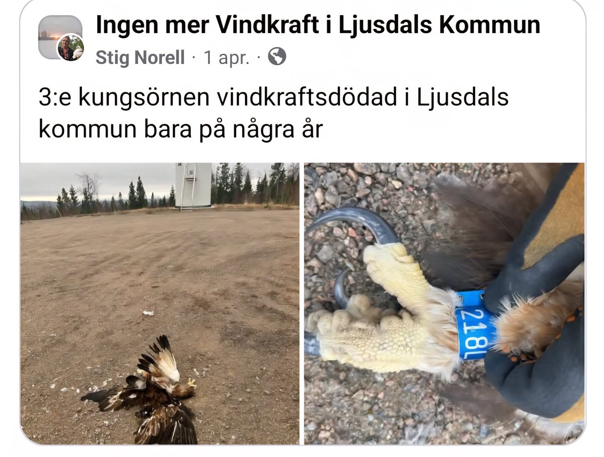 Tom Berg 🇸🇪🎗🇺🇸 tweet media