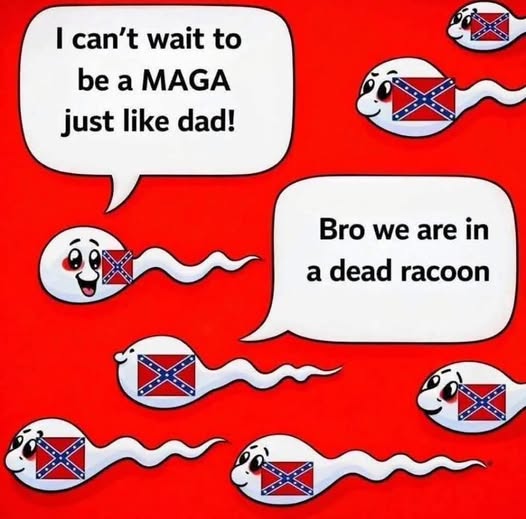 The Swamp Fox 🦊 tweet media