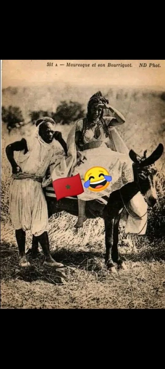 ⵉⴽⵙⴰⵍ ⵏ ⵏⵓⵎⵉⴷⵉ tweet media