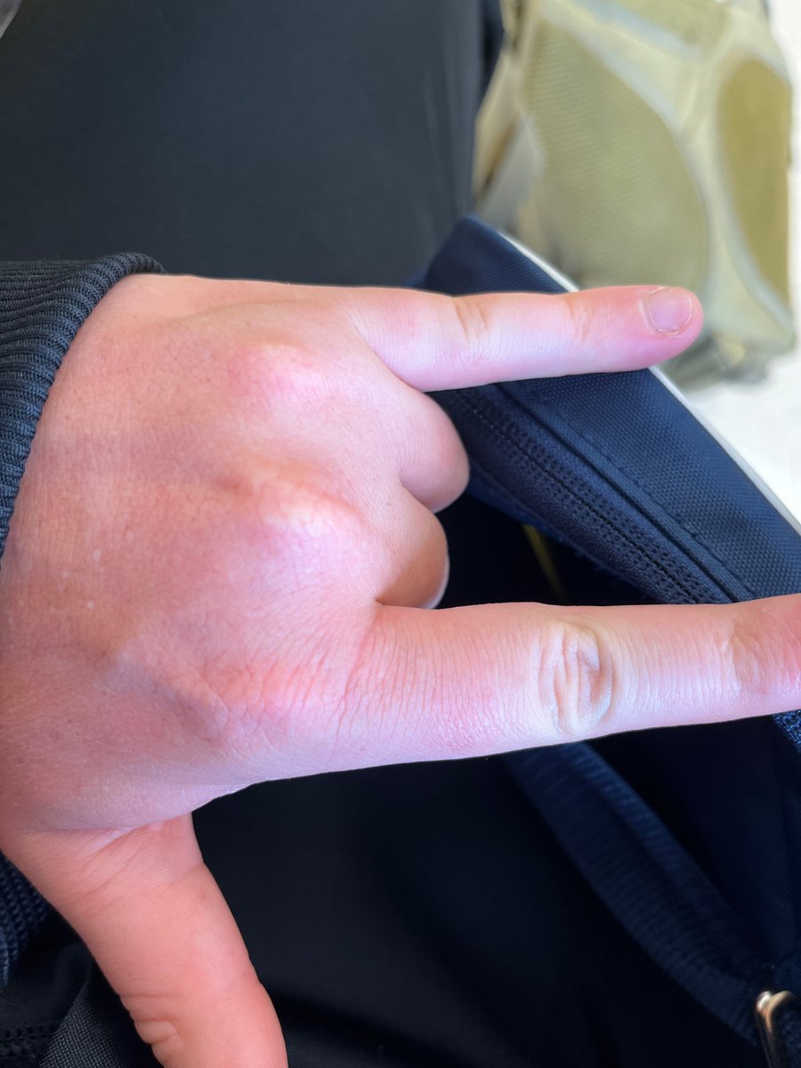 Shroompilled tweet media