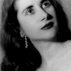 FLOR AZUL tweet media