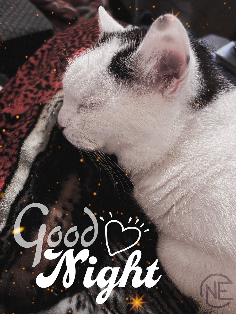 EckhardGraphics's tweet photo. Be like Timmy: get some rest and have sweet dreams! 🐱😴

#Cat #CatsOfTwitter #CozyVibes #GoodNight #CuteAnimals #CatLife #ComfortPost https://t.co/JHG7mkriRQ