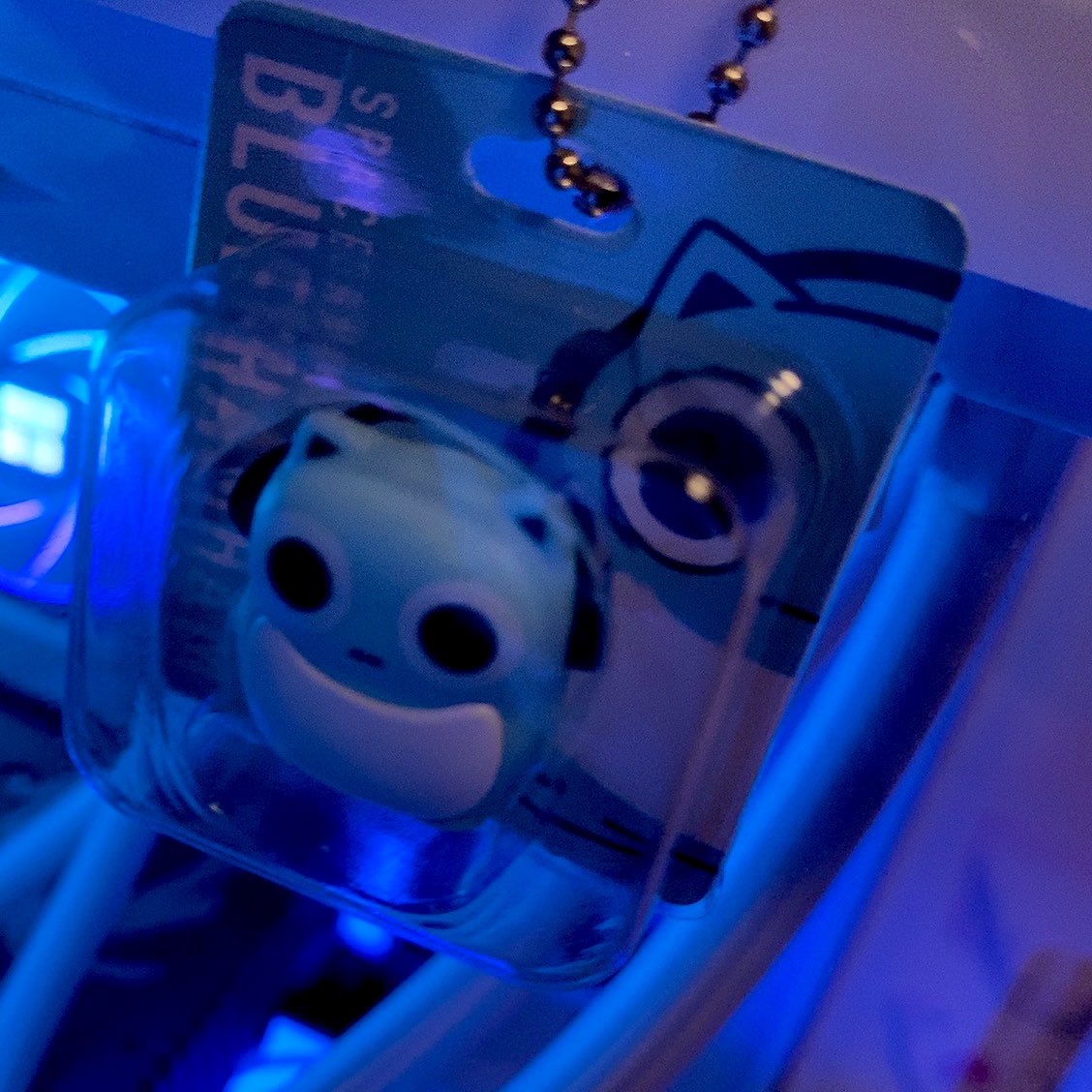 うにちゃん寝る🍥💤 tweet media