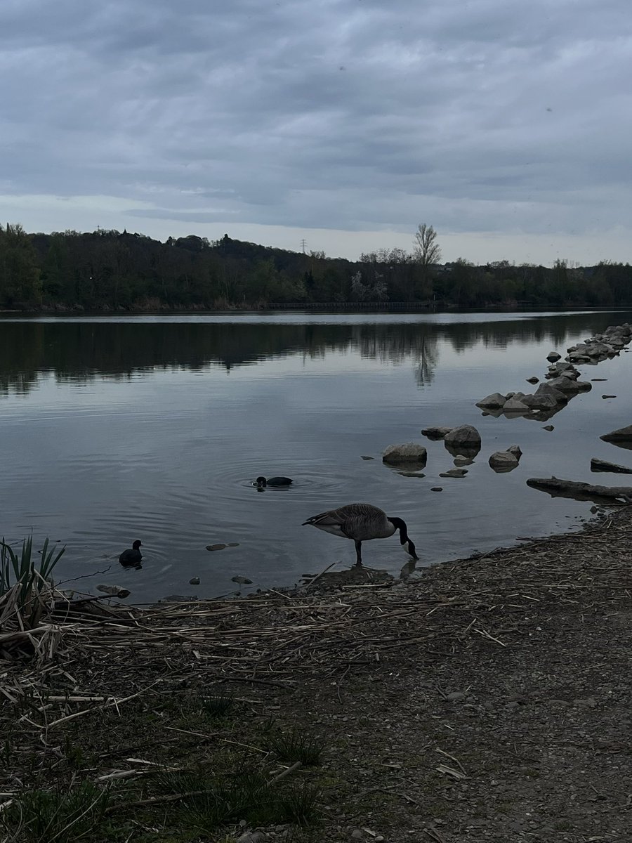 çilek🍓 tweet media