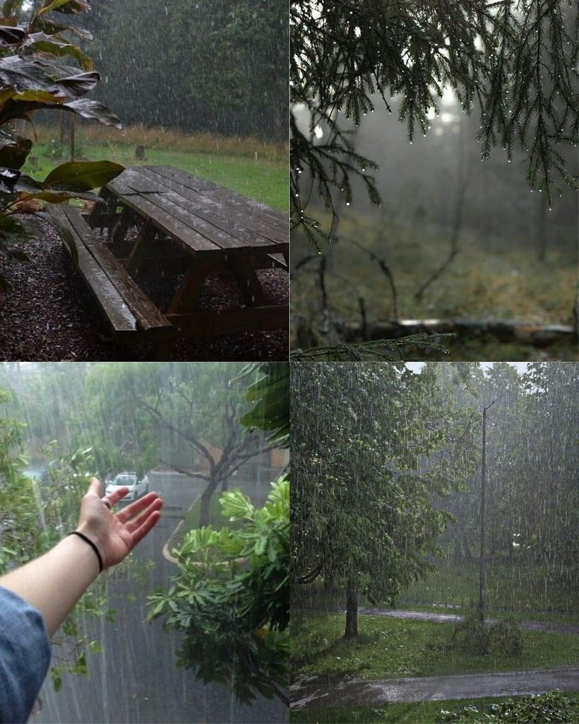 𝘯𝑎𝘵𝑢𝘳𝑒. tweet media