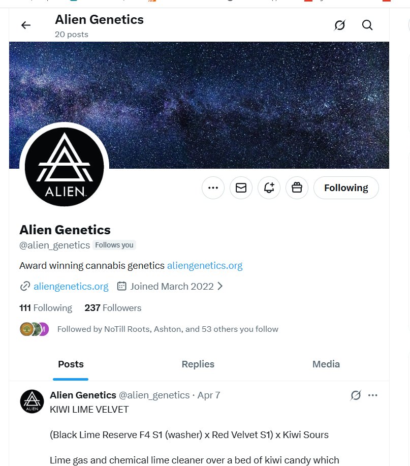 For those that don't know this is the real legendary breeder <a href="/alien_genetics/">Alien Genetics</a> not the scammer that operated here for so long under various similar names.

Like so many they are becoming more active on X as IG hunts them down and eliminates them.

Be sure to shoot them a follow and