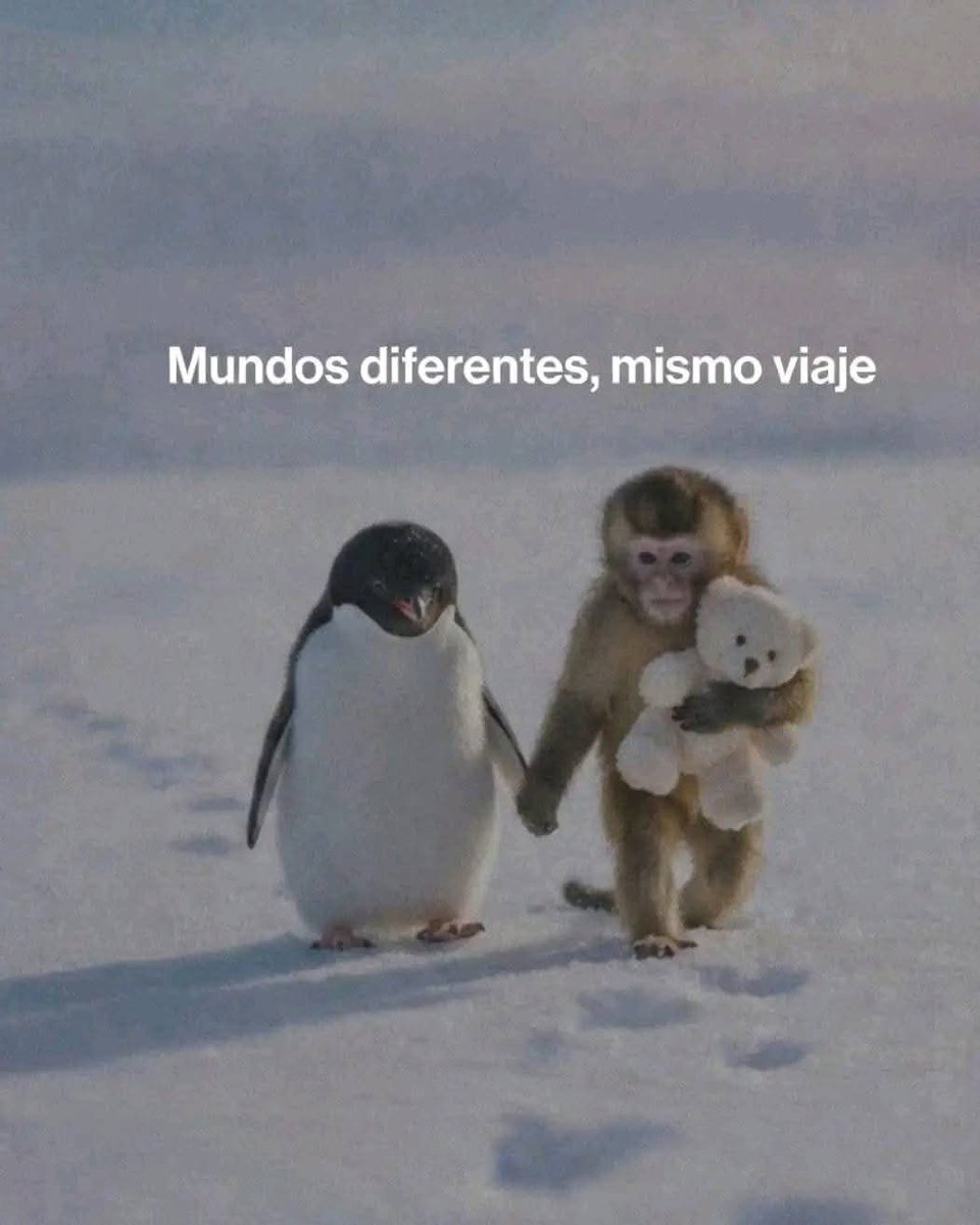 Reflexiones🌧 tweet media